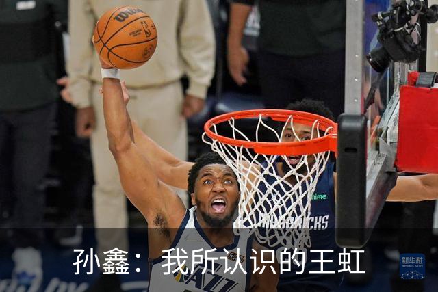 孙鑫：我所认识的王虹