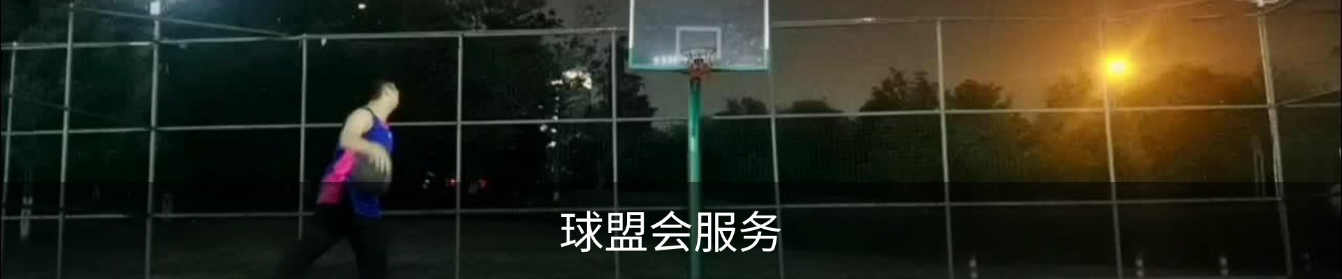 球盟会服务