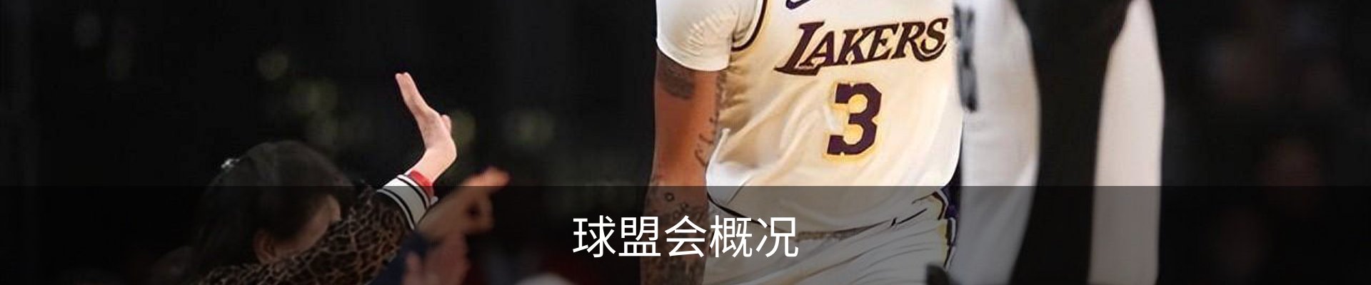 球盟会概况